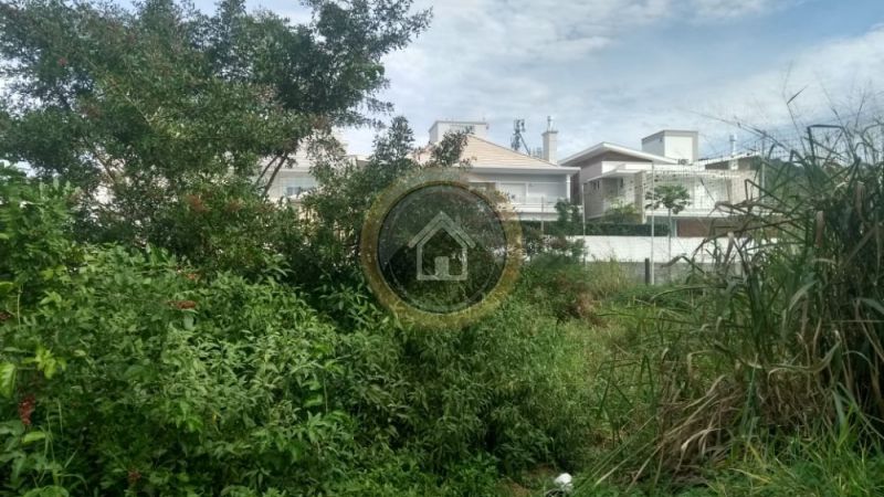 Praia Jurerê - Jurerê Internacional - Florianópolis - 900